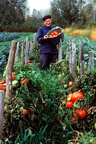 French-farmer-with-his-tomatoes_DM