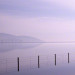 fence-line-in-the-lake_DM thumbnail