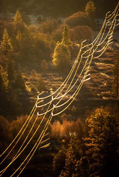 power-lines-running-uphill-in-California_DM