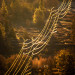 power-lines-running-uphill-in-California_DM thumbnail