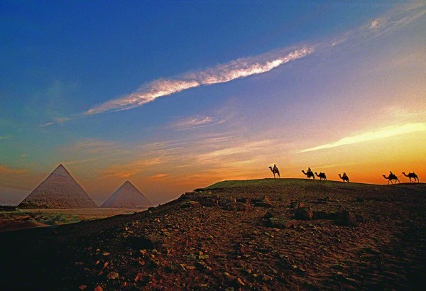 camelsbypyramids