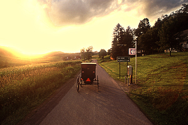 63 pacific bell amish guy