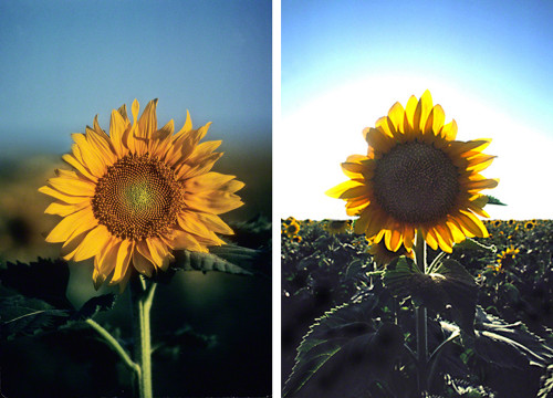 front and back light