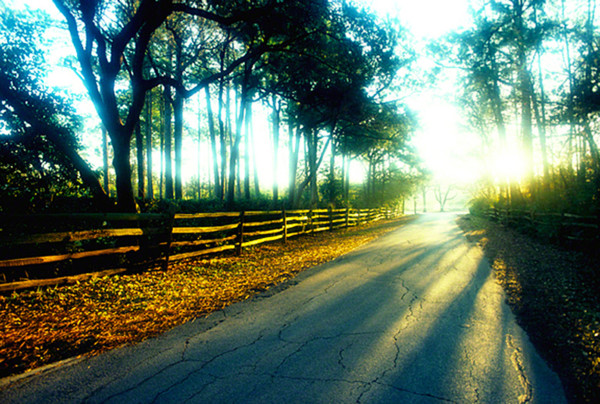 roadwithwoodenfence