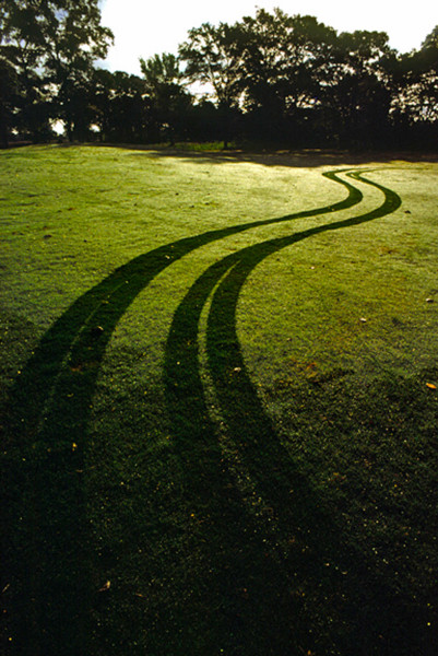 golfcarttracks