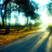 roadwithwoodenfence thumbnail