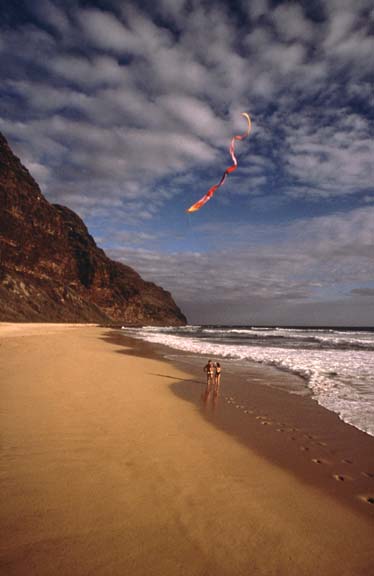 kiteandcoupleatbeach0400