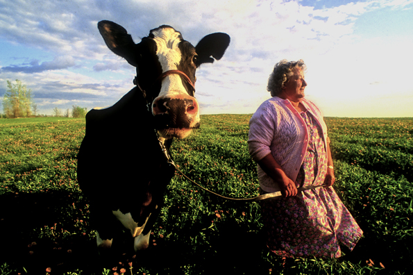 lady with the cow