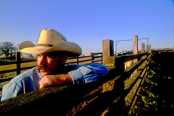 cowboy on fence