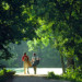 two men walking with golf clubs thumbnail