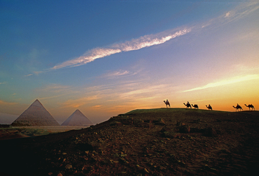 camelsbypyramids