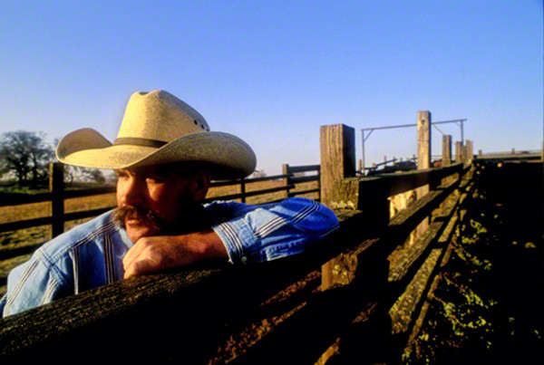 cowboy-on-fence4-600x403_DM