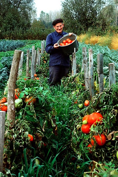 FrenchfarmerwithtomatoesDM