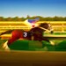 horserace thumbnail
