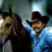 portraitofcowboywithhorsesmiling thumbnail