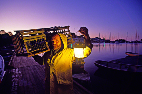 Maine Lobster-Fisherman/workshop student.