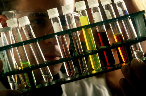 Fill in the rest of the missing pieces.