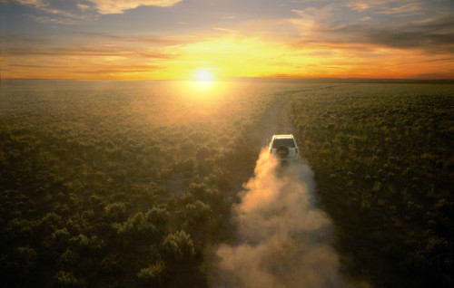 Look ma, no filter and no post processing!!!