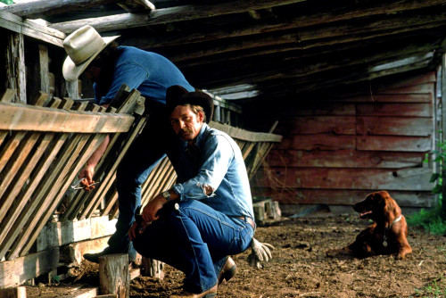  Shooting in old barns