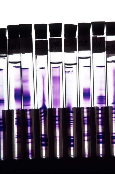 backlittesttubesinbiolab_DM