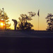 golfersilhouette1-600x406_DM thumbnail