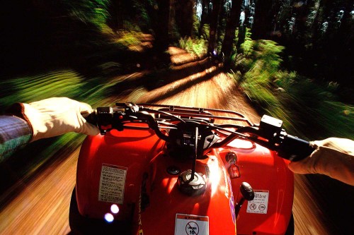 Look Ma, no Photoshop.