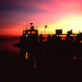 manonbargeatsunset1-409x600_DM thumbnail