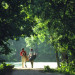 two-men-walking-with-golf-clubs1-600x401_DM thumbnail