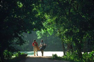 Walking to the light.