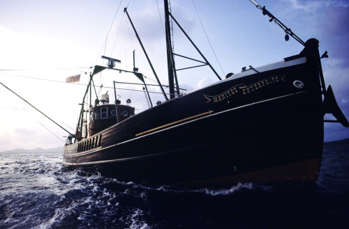 Look ma, no Photoshop!