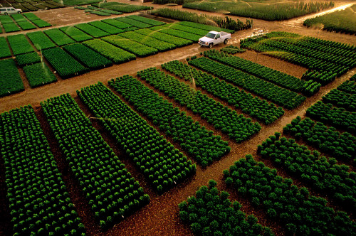 Using Leading Lines to move the viewer around the frame.