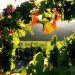Grgich Old Vineyard thumbnail