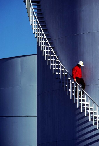 Use the edges of your frame as a compositional tool.