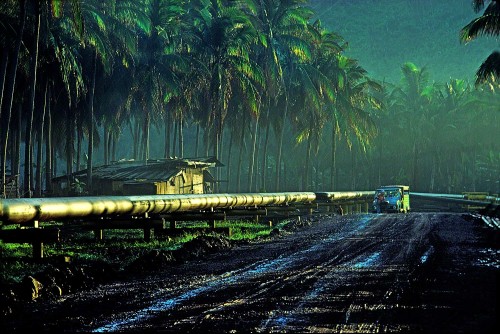 Leading the viewer to a payoff.