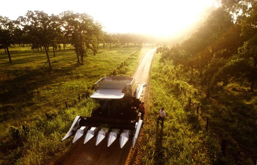 Shooting right into the sun at sunrise is about energy.