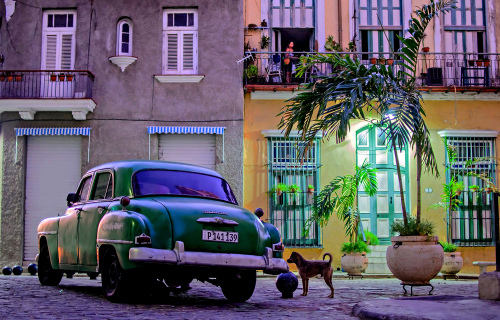 One of so many great photos taken by my class. This one was from Vikki.