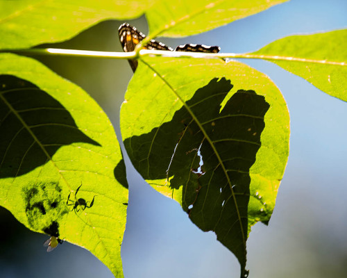 What do others think?