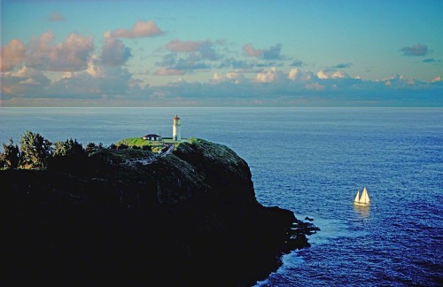 It was me all along.