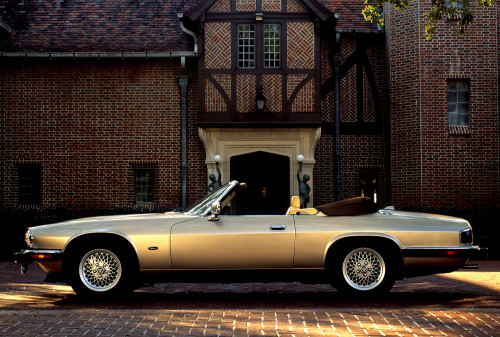 Look ma, no Photoshop.