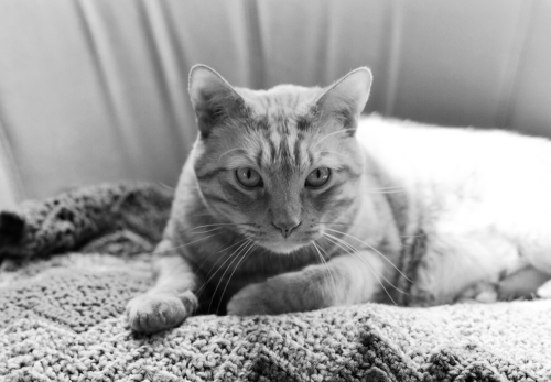 It's about the light.