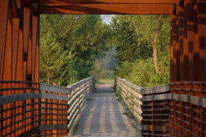 11ASKJOEBGREGScreen Shot 2015-12-17 at 9.54.27 AM copy