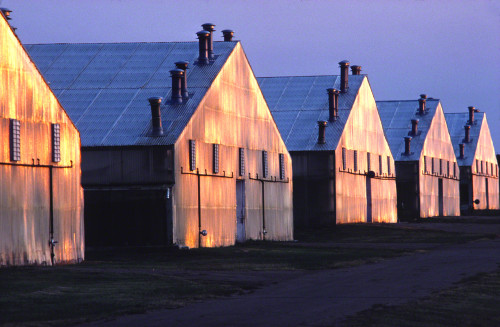 Seeing with the right side of the brain.