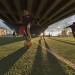 12PhotoFetch thumbnail