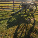 17PhotoFetch thumbnail