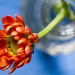 24PhotoFetch thumbnail