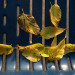 26PhotoFetch thumbnail