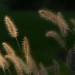 2PhotoFetch thumbnail