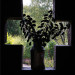 9PhotoFetch thumbnail