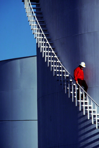 The viewer will fill in the rest of the plant.