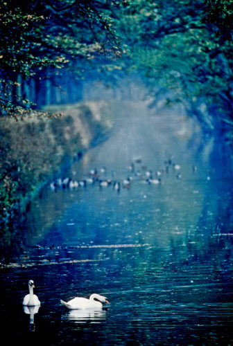 I never thought about using this lens.